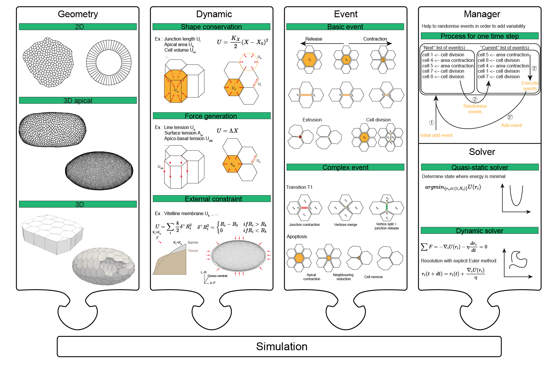 Sum-up of the different aspect of Tyssue modularity.